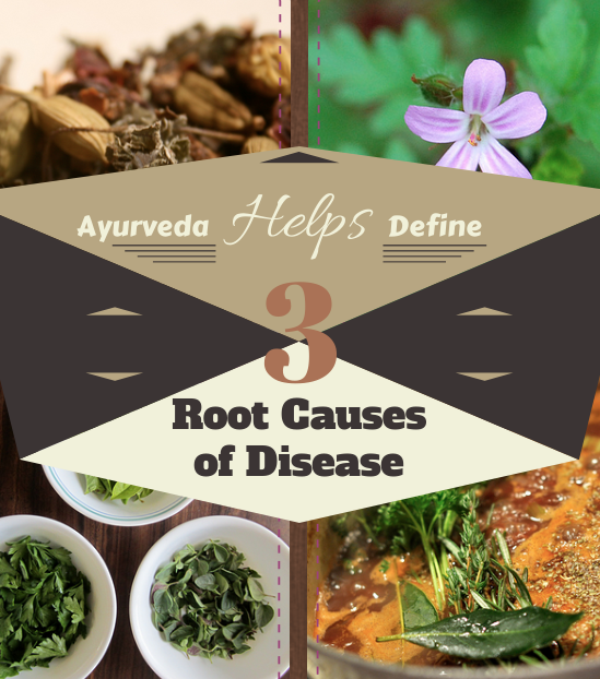 Ayurveda Defines Three Root Causes of Disease